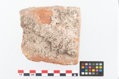 Foto von Ziegel (NHMW-PRAE-002368)